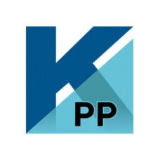 Kofax PaperPort Professional - 1 usuario - licencia ESD