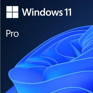 Windows 11 Profesional 64 Bits OEM DVD